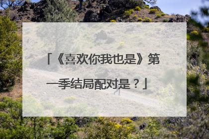 《喜欢你我也是》第一季结局配对是？