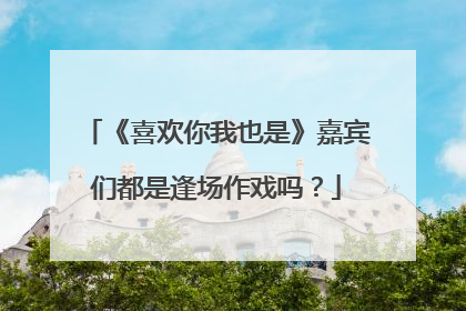 《喜欢你我也是》嘉宾们都是逢场作戏吗？