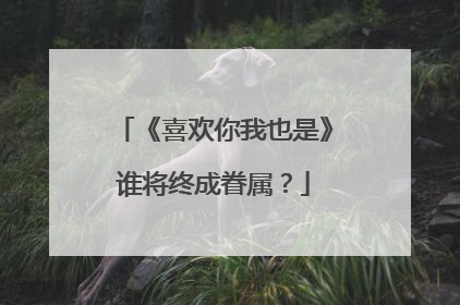 《喜欢你我也是》谁将终成眷属？