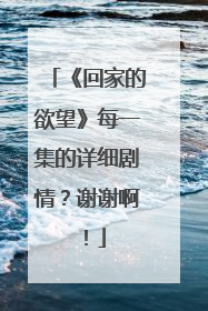 《回家的欲望》每一集的详细剧情?谢谢啊!