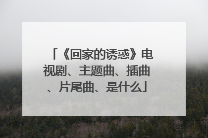 《回家的诱惑》电视剧、主题曲、插曲、片尾曲、是什么