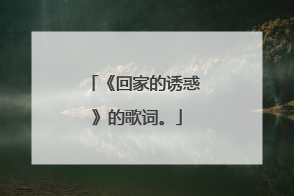 《回家的诱惑》的歌词。