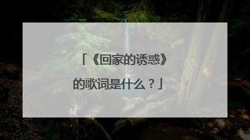 《回家的诱惑》的歌词是什么?