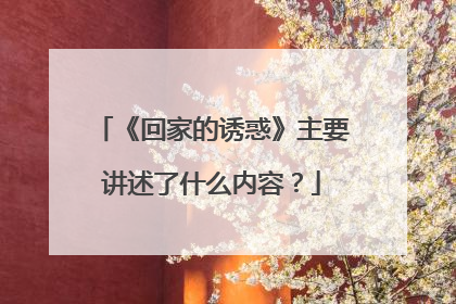 《回家的诱惑》主要讲述了什么内容?