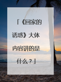 《回家的诱惑》大体内容讲的是什么？