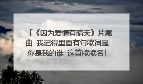 《因为爱情有晴天》片尾曲 我记得里面有句歌词是你是我的谁 这首歌歌名