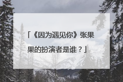 《因为遇见你》张果果的扮演者是谁?