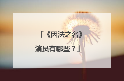 《因法之名》演员有哪些?