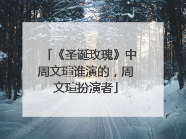 《圣诞玫瑰》中周文瑄谁演的，周文瑄扮演者