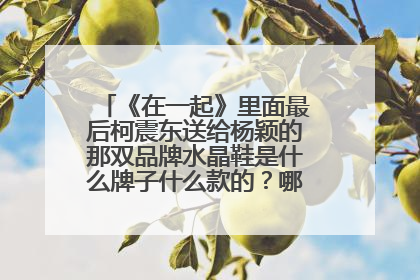 《在一起》里面最后柯震东送给杨颖的那双品牌水晶鞋是什么牌子什么款的？哪位大神告诉我