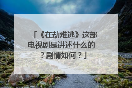 《在劫难逃》这部电视剧是讲述什么的？剧情如何？