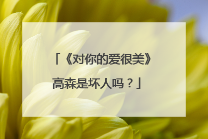 《对你的爱很美》高森是坏人吗?