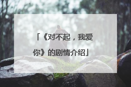 《对不起，我爱你》的剧情介绍