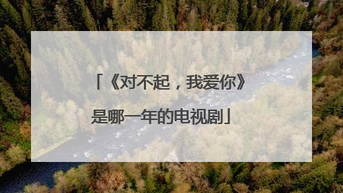 《对不起，我爱你》是哪一年的电视剧