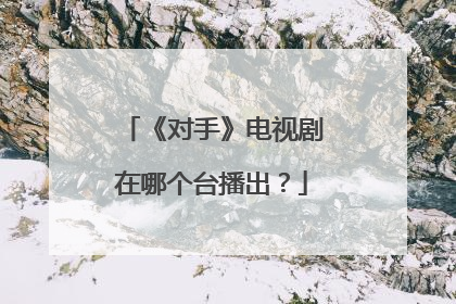 《对手》电视剧在哪个台播出？