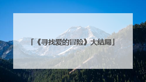 《寻找爱的冒险》大结局