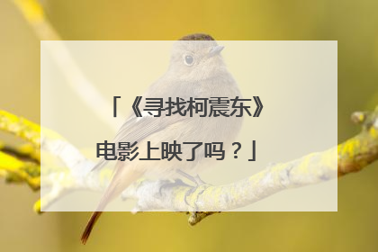 《寻找柯震东》电影上映了吗?