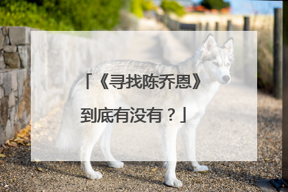 《寻找陈乔恩》到底有没有？