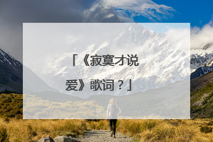 《寂寞才说爱》歌词?