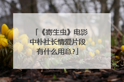《寄生虫》电影中朴社长情爱片段有什么用意?