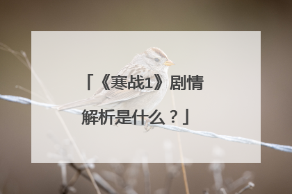 《寒战1》剧情解析是什么?