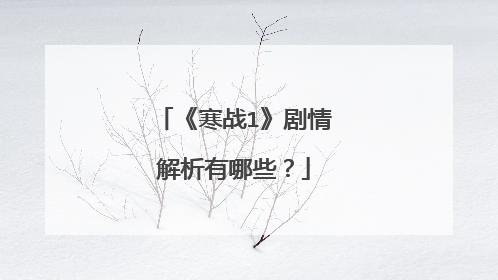 《寒战1》剧情解析有哪些?