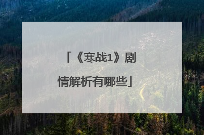 《寒战1》剧情解析有哪些