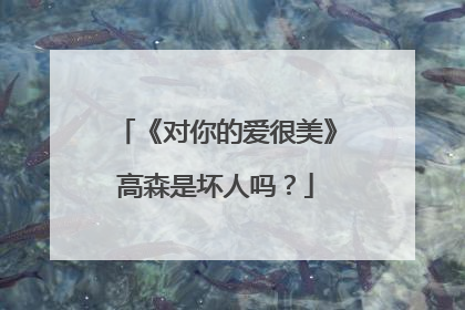 《对你的爱很美》高森是坏人吗？