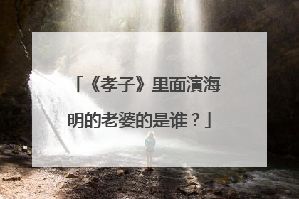 《孝子》里面演海明的老婆的是谁？