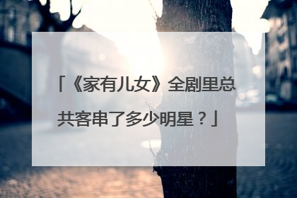 《家有儿女》全剧里总共客串了多少明星？