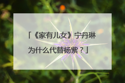 《家有儿女》宁丹琳为什么代替杨紫?