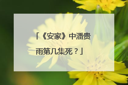 《安家》中潘贵雨第几集死？