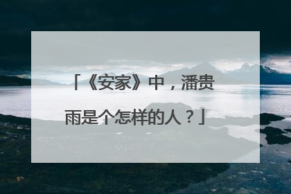 《安家》中,潘贵雨是个怎样的人?