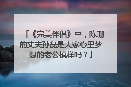 《完美伴侣》中，陈珊的丈夫孙磊是大家心里梦想的老公模样吗？