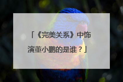 《完美关系》中饰演董小鹏的是谁？