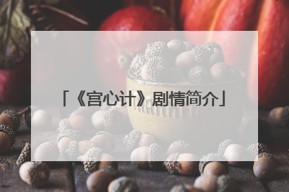 《宫心计》剧情简介