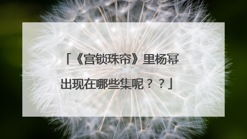《宫锁珠帘》里杨幂出现在哪些集呢？？