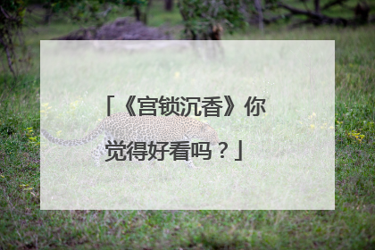 《宫锁沉香》你觉得好看吗？