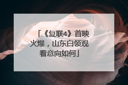 《复联4》首映火爆，山东白领观看意向如何