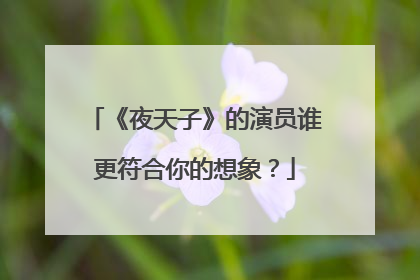 《夜天子》的演员谁更符合你的想象？