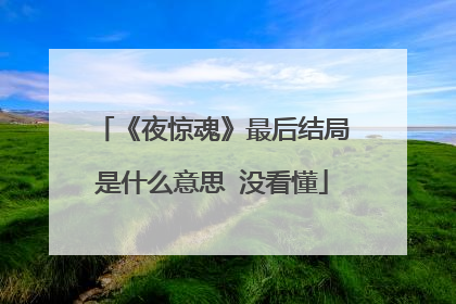 《夜惊魂》最后结局是什么意思 没看懂