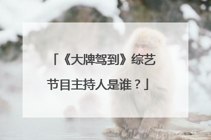 《大牌驾到》综艺节目主持人是谁?