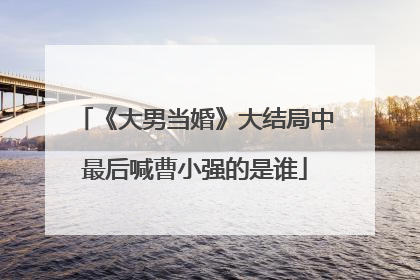 《大男当婚》大结局中最后喊曹小强的是谁