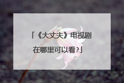 《大丈夫》电视剧在哪里可以看?