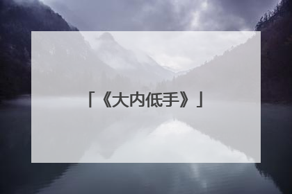 《大内低手》