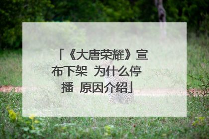 《大唐荣耀》宣布下架 为什么停播 原因介绍