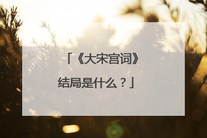 《大宋宫词》结局是什么?