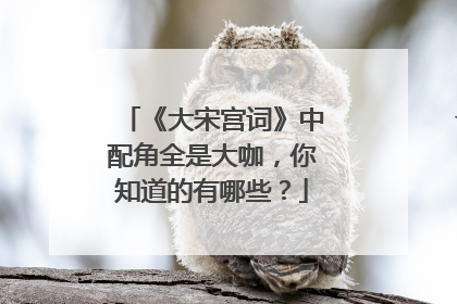 《大宋宫词》中配角全是大咖，你知道的有哪些？