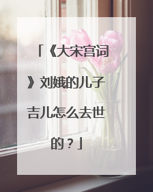 《大宋宫词》刘娥的儿子吉儿怎么去世的？