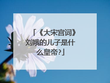 《大宋宫词》刘娥的儿子是什么皇帝?